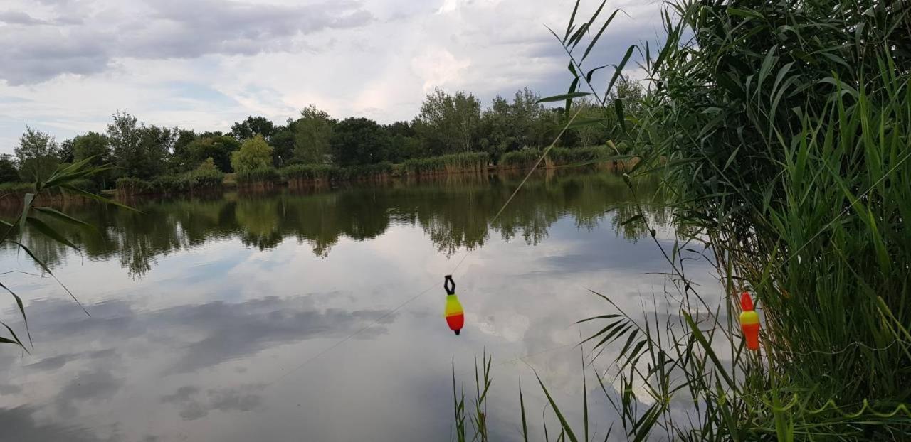 Hotel To Uti Vendeghaz Mezotur Exteriér fotografie